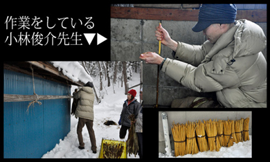 「楮(こうぞ)はぎ」と「黒皮干し」
